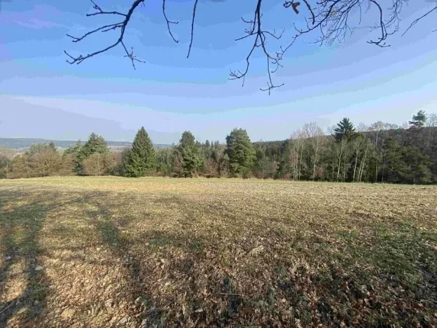 Prodej pozemku, Hluboká nad Vltavou - Kostelec, 3163 m2