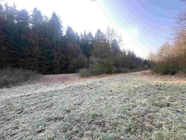 Prodej pozemku, Hluboká nad Vltavou - Kostelec, 3163 m2