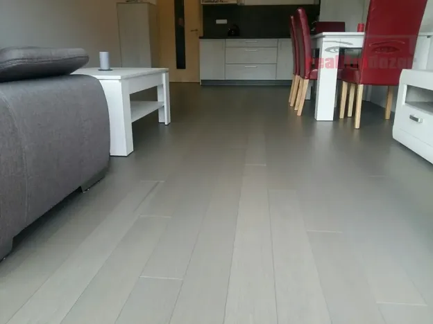 Prodej bytu 1+kk, Říčky v Orlických horách, 55 m2