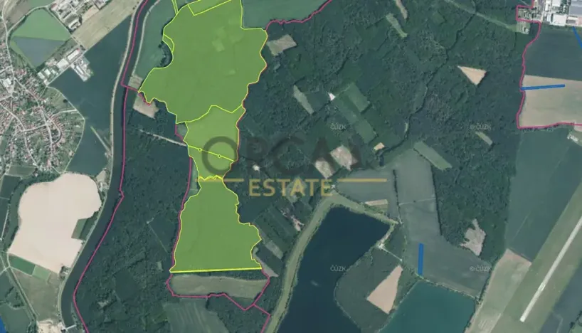 Prodej lesa, Kostelany nad Moravou, 58008 m2