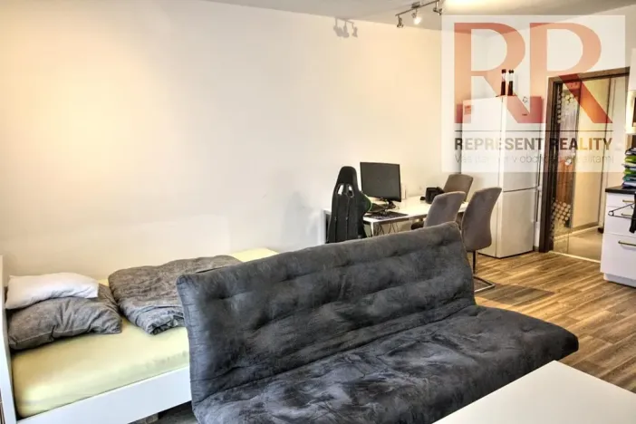Pronájem bytu 1+kk, Plzeň, U Borských kasáren, 40 m2