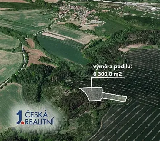 Prodej podílu lesa, Trhový Štěpánov, 6300 m2