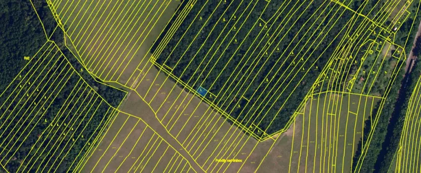 Prodej lesa, Silůvky, 174 m2