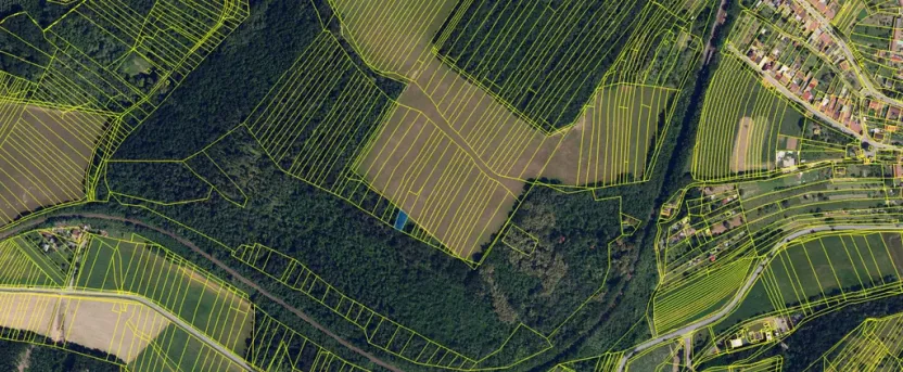 Prodej lesa, Silůvky, 375 m2