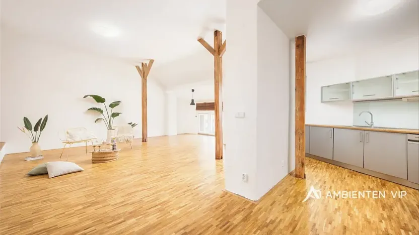 Prodej bytu 4+kk, Brno, Čápkova, 140 m2