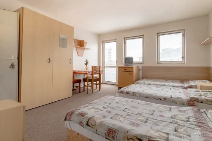 Pronájem bytu 1+kk, Mladá Boleslav, 25 m2