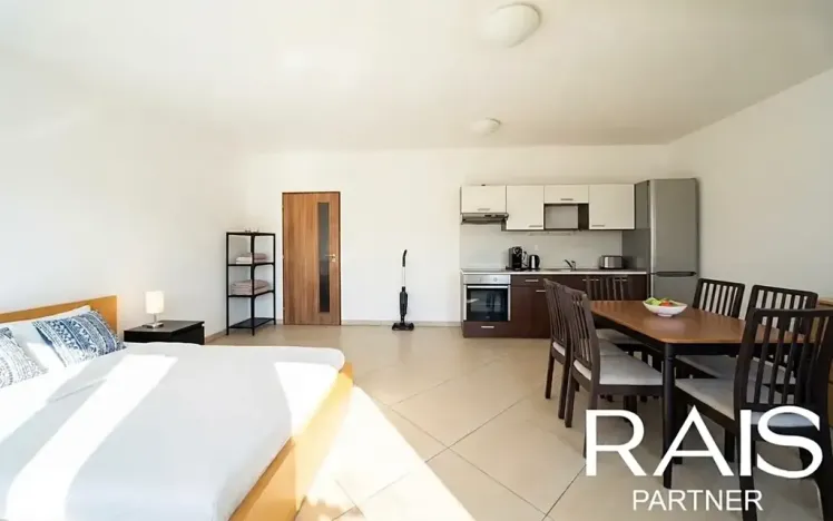 Prodej bytu 1+kk, Brno, Vranovská, 55 m2