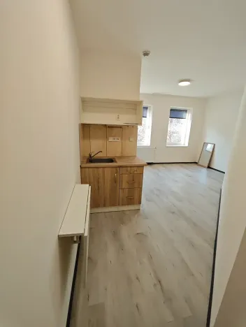 Pronájem bytu 1+kk, Praha - Hlubočepy, Na Zlíchově, 20 m2