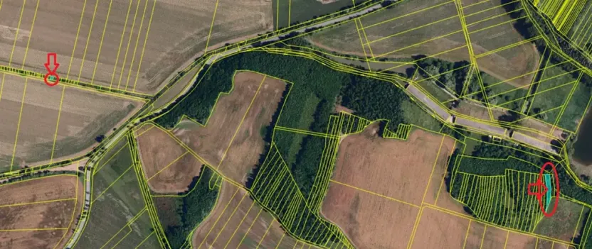 Prodej lesa, Rybníky, 3133 m2