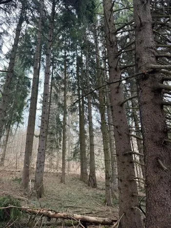 Prodej pole, Hlavňovice, 11738 m2