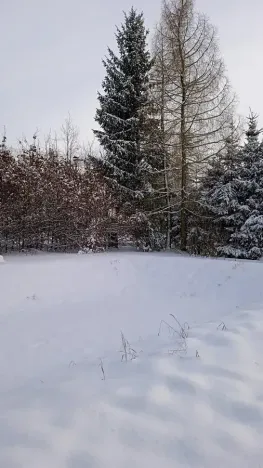 Prodej pozemku pro bydlení, Meziměstí, 2212 m2