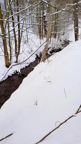 Prodej pozemku pro bydlení, Meziměstí, 2212 m2