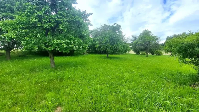 Prodej pozemku pro bydlení, Pecka, 1250 m2