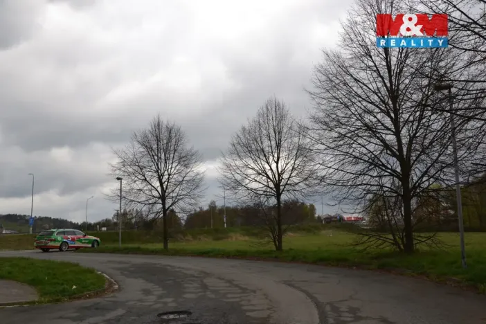 Prodej louky, Náchod - Běloves, 20495 m2