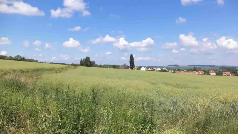 Prodej pole, Uherský Brod, 8978 m2