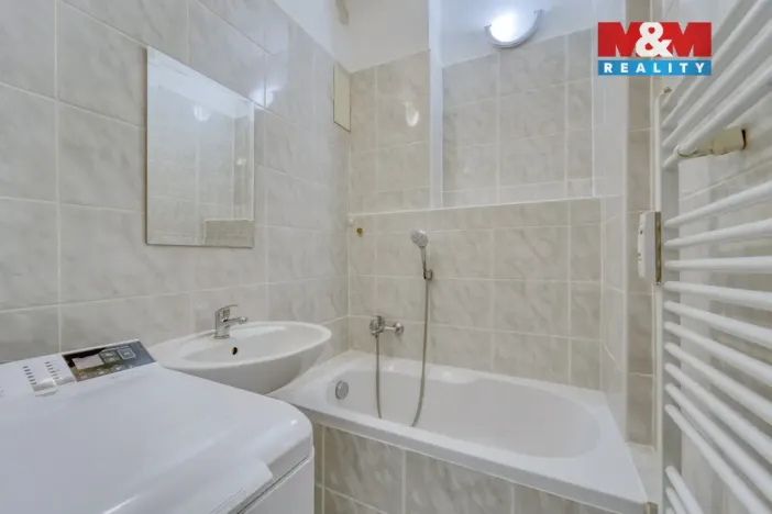 Pronájem bytu 1+1, Plzeň - Východní Předměstí, Francouzská třída, 38 m2