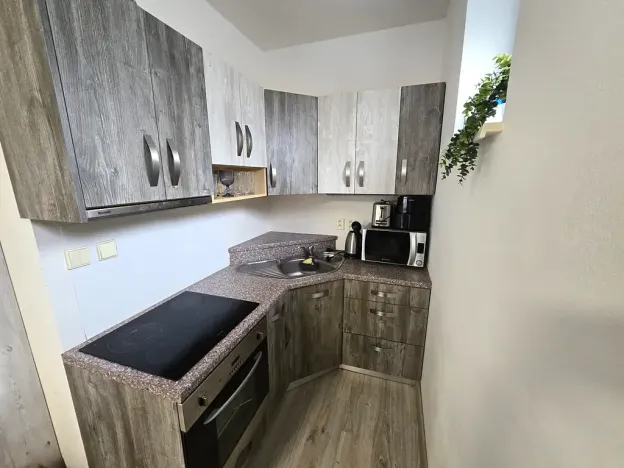 Pronájem bytu 1+kk, Bílovice nad Svitavou, Šebelova, 35 m2