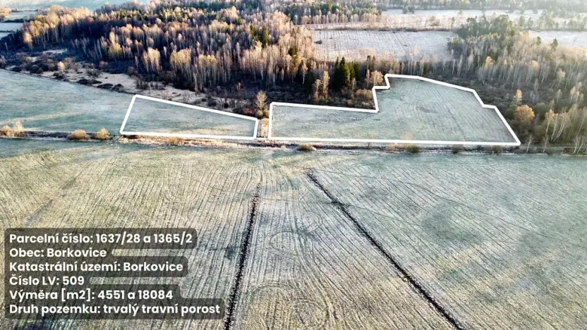 Prodej pole, Borkovice, 37657 m2