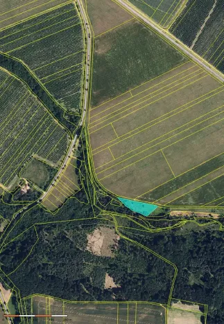 Prodej pole, Vilémov, 9813 m2