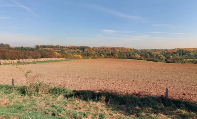 Prodej lesa, Kouřim, 87548 m2