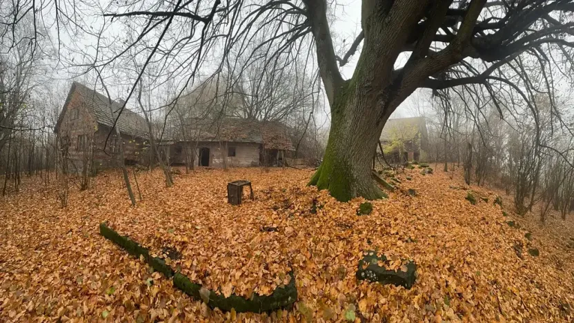 Prodej podílu zemědělské usedlosti, Bradlecká Lhota, 394 m2