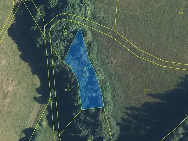 Prodej louky, Zdobín, 145881 m2