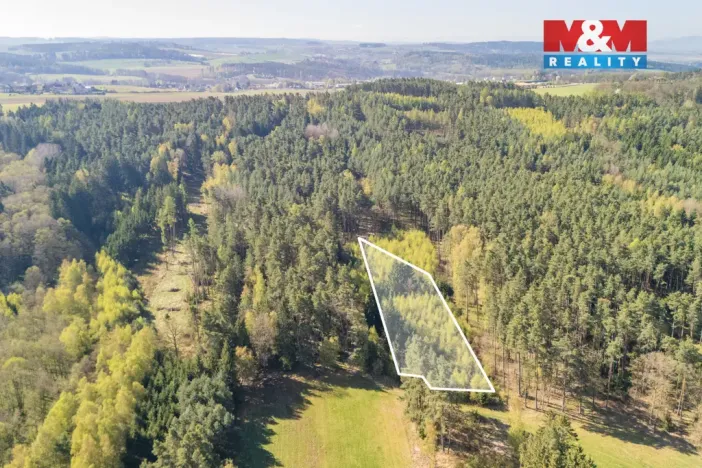 Prodej lesa, Losiná, 2645 m2