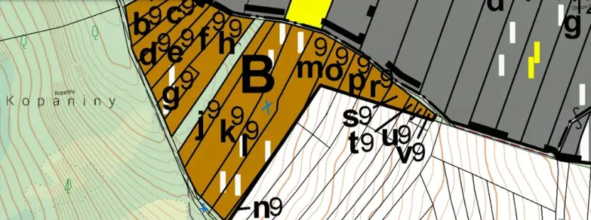 Prodej lesa, Silůvky, 3896 m2