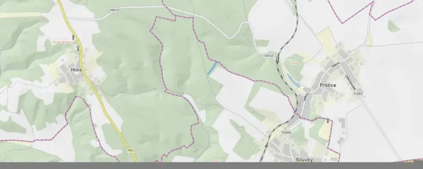 Prodej lesa, Silůvky, 3896 m2