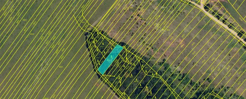 Prodej lesa, Silůvky, 462 m2