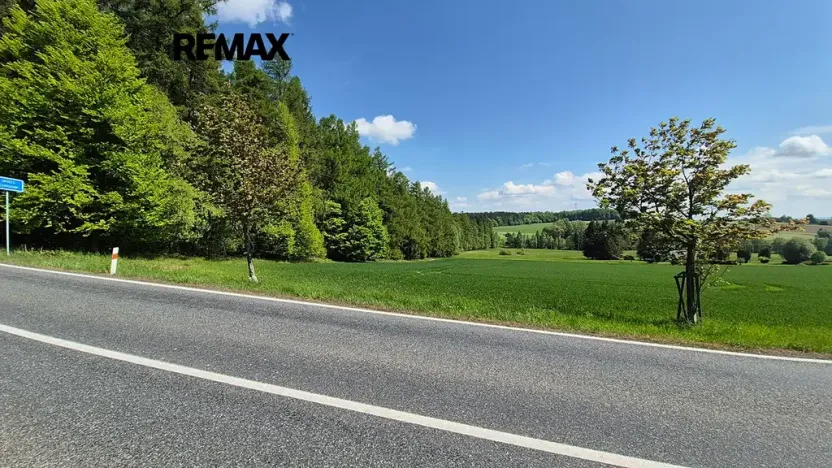 Prodej pozemku pro bydlení, Borová, 7429 m2