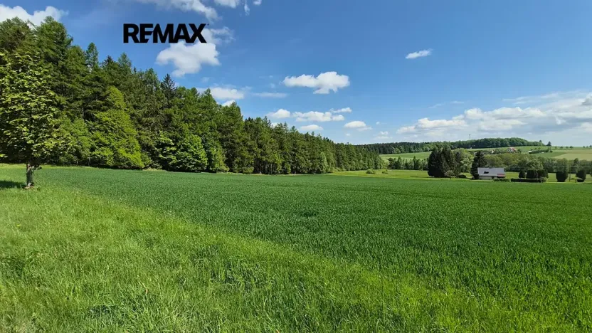 Prodej pozemku pro bydlení, Borová, 7429 m2