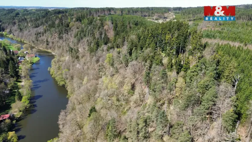 Prodej lesa, Řepeč, 39640 m2