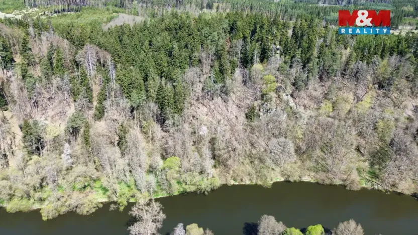 Prodej lesa, Řepeč, 39640 m2
