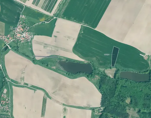 Prodej pole, Kluky, 21656 m2