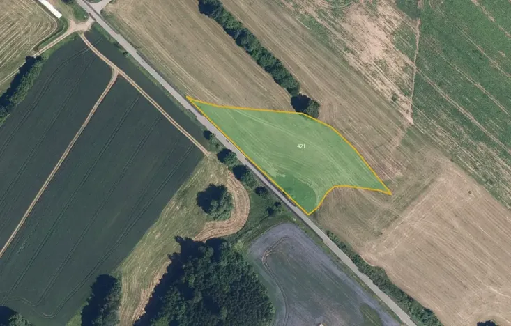 Prodej louky, Zborov, 9806 m2