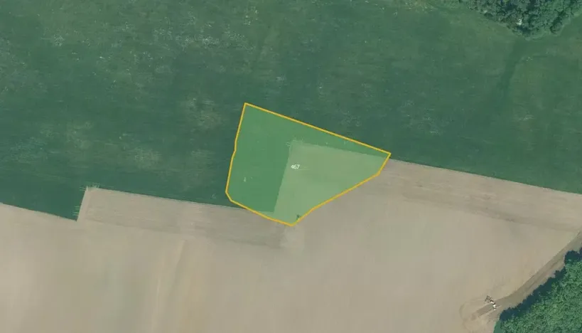 Prodej pole, Bor, 28170 m2