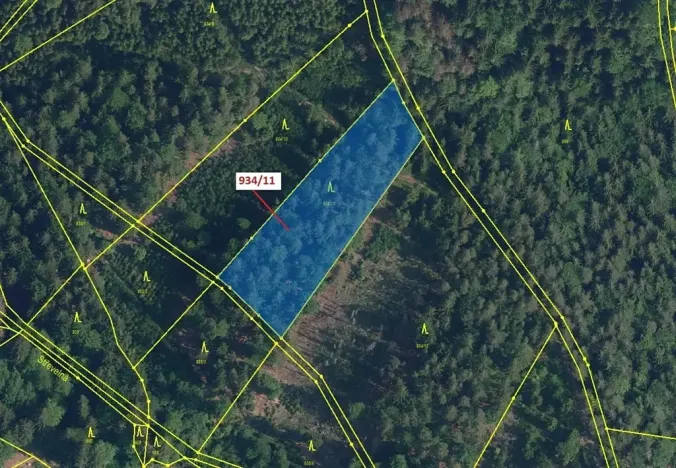 Dražba lesa, Jílové u Držkova, 3439 m2