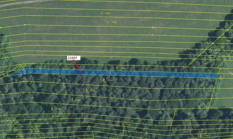 Dražba lesa, Strání, 1163 m2