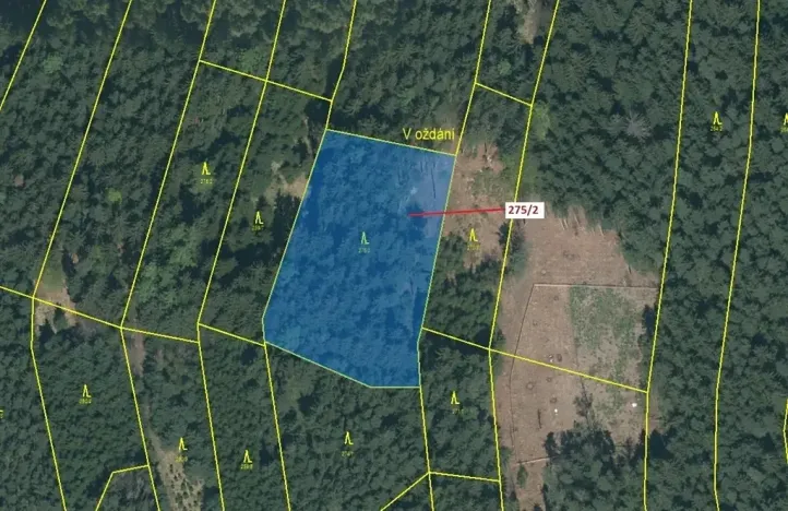 Dražba lesa, Psárov, 4568 m2