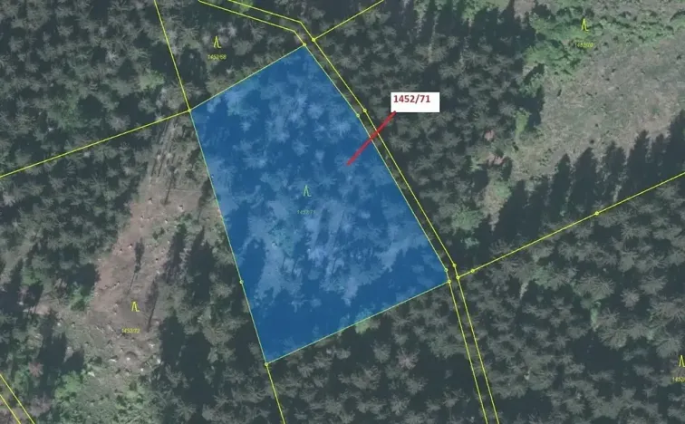 Dražba lesa, Horní Lomná, 6298 m2