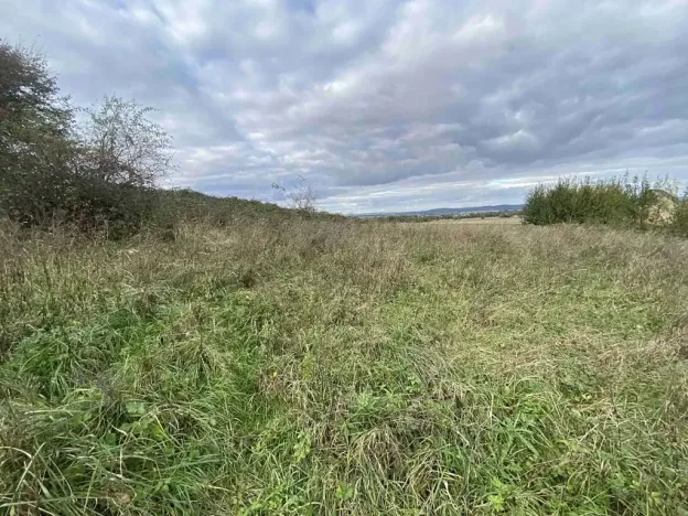 Dražba pozemku pro bydlení, Javorník, 1651 m2