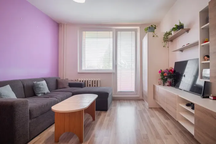 Prodej bytu 1+1, Olomouc - Nová Ulice, Hraniční, 34 m2