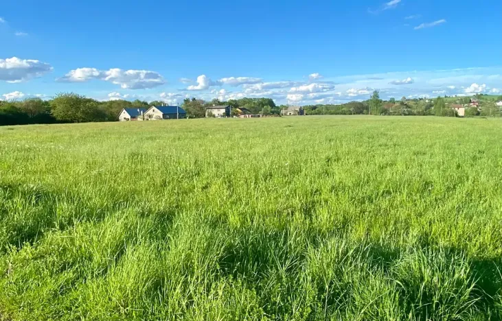 Prodej pozemku pro bydlení, Horní Bludovice, 1584 m2