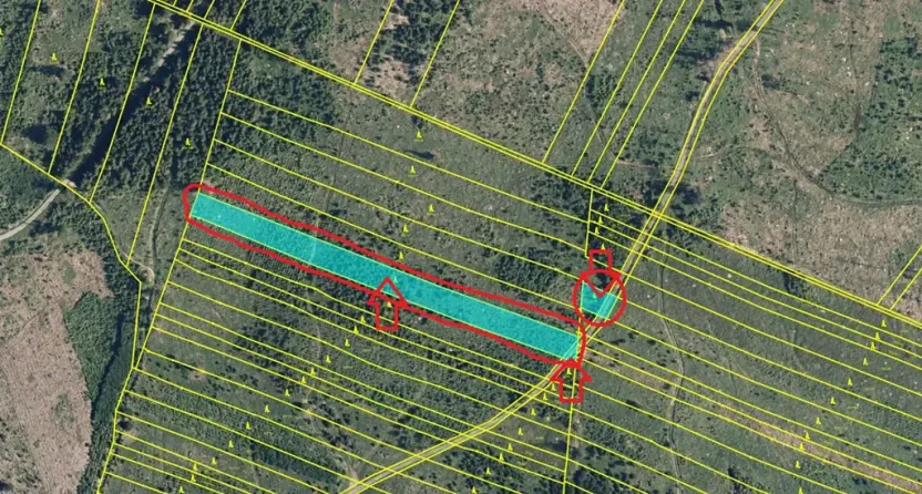Prodej podílu lesa, Nová Hradečná, 2498 m2