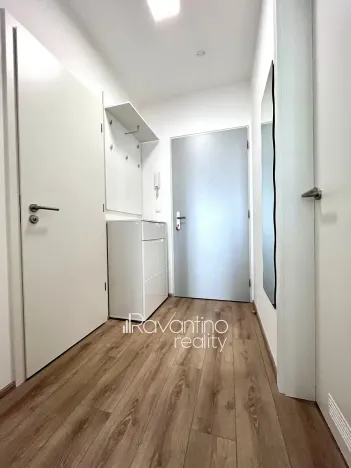 Pronájem bytu 1+kk, Brno, Spolková, 38 m2