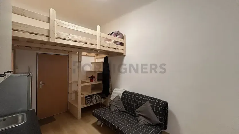 Pronájem bytu 1+kk, Praha - Žižkov, Řehořova, 20 m2