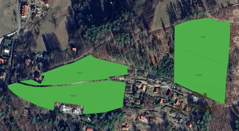 Prodej lesa, Velká Lhota, 28329 m2