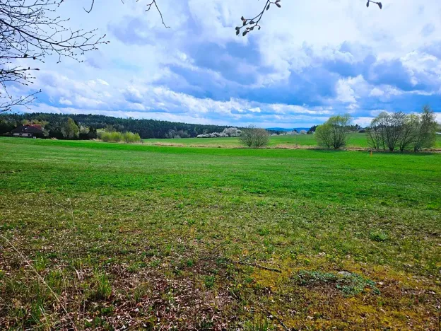 Prodej pozemku pro bydlení, Kozárovice, 2996 m2