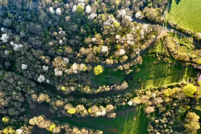 Prodej pozemku pro bydlení, Okounov, 13326 m2